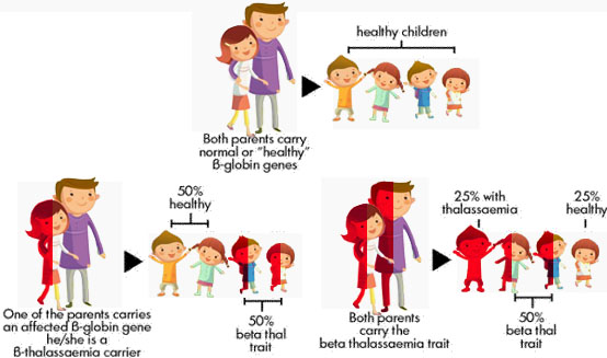 http://www.medi-vance.com/images/thalassaemia.jpg